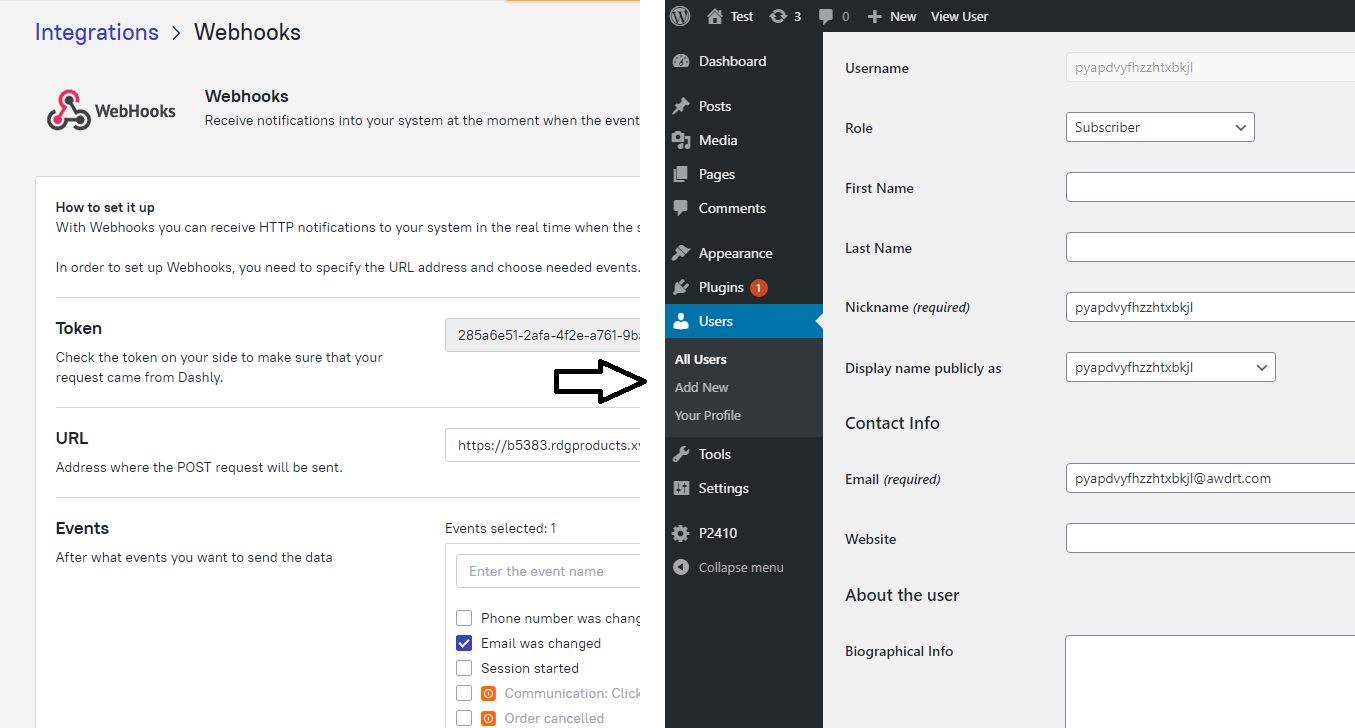 Webhook fra Dashly udløser automatisk WordPress kontooprettelse – testbruger genereret ved email indsendelse i chatbot.